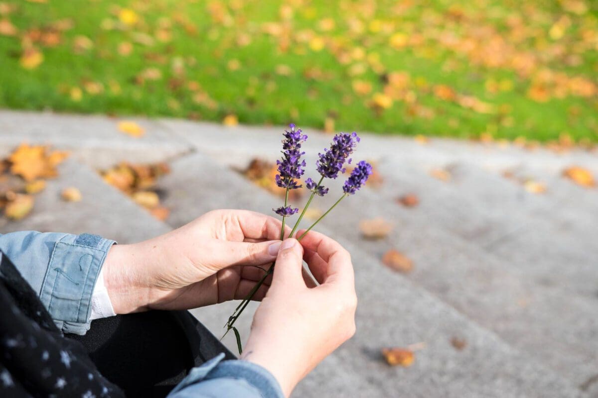 over the shoulder photo of a person holding between her fingers purple flowers.