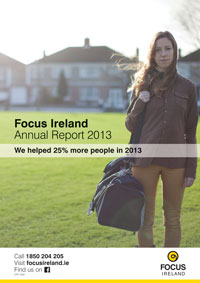 2013 annual report