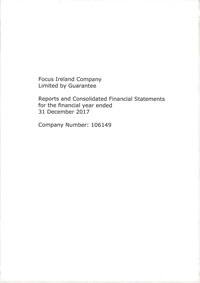 2017 financial statement